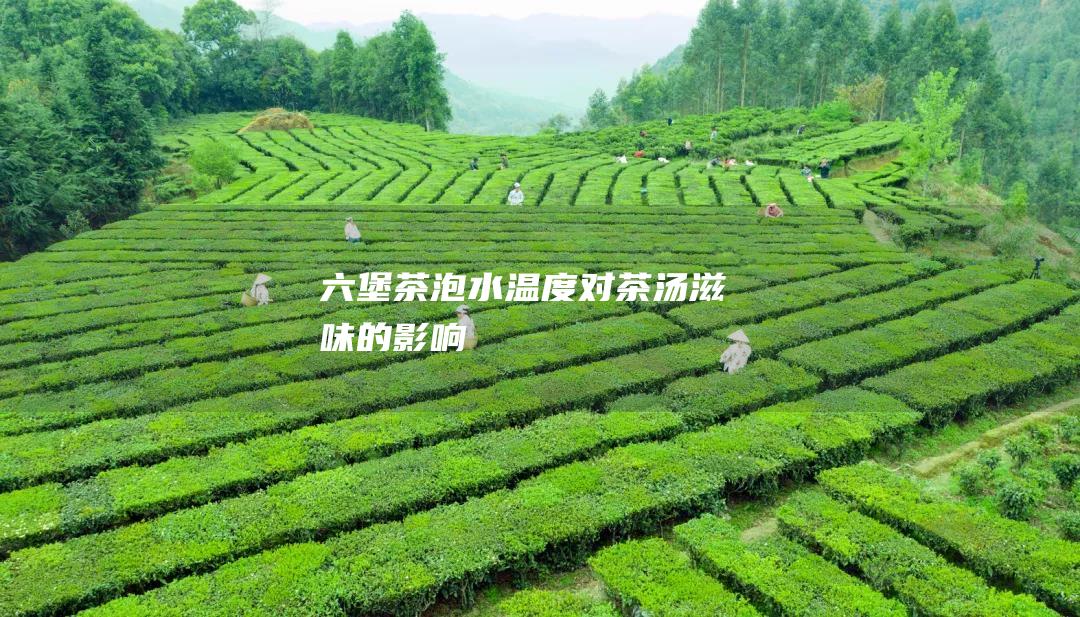 六堡茶泡水温度对茶汤滋味的影响