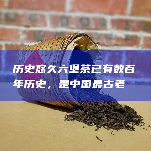 历史悠久：六堡茶已有数百年历史，是中国最古老的茶叶之一。