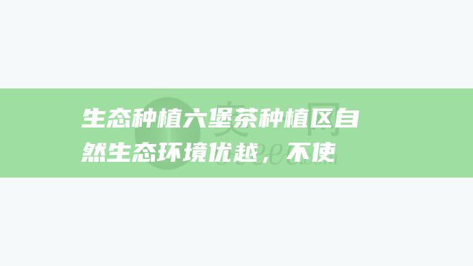 生态种植：六堡茶种植区自然生态环境优越，不使用化肥、农药，保证茶叶品质。