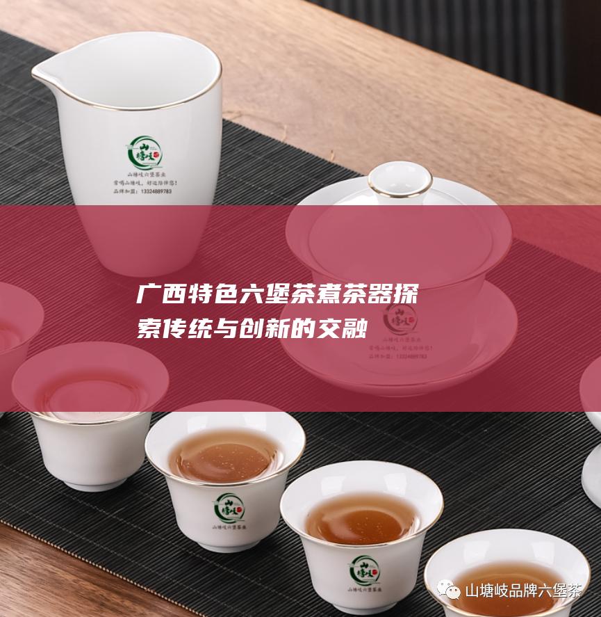 广西特色六堡茶煮茶器：探索传统与创新的交融