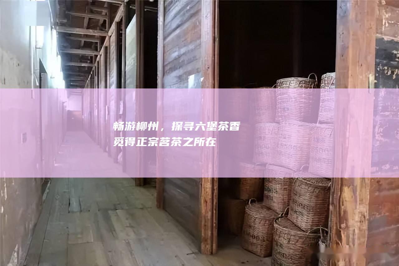 畅游柳州，探寻六堡茶香：觅得正宗茗茶之所在