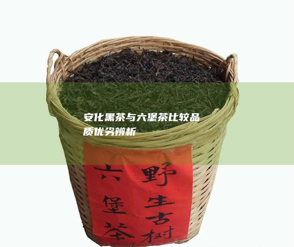 安化黑茶与六堡茶比较：品质优劣辨析