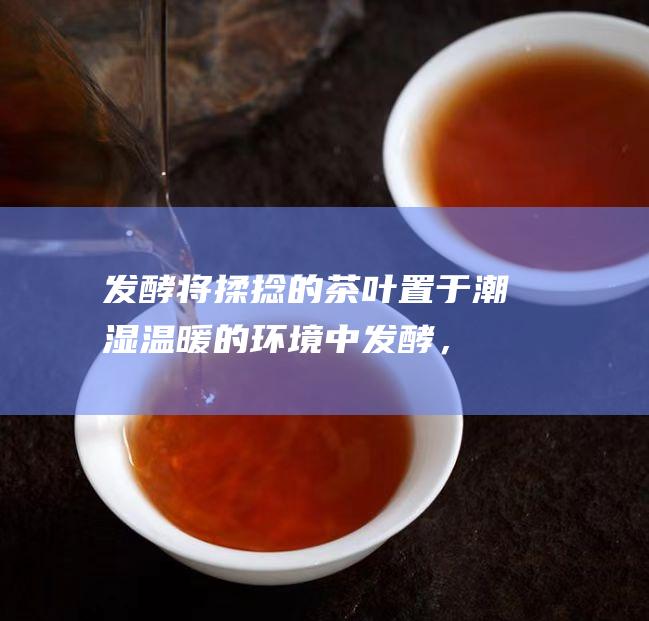 发酵：将揉捻的茶叶置于潮湿温暖的环境中发酵，使茶叶中的茶多酚氧化，产生独特的香气和滋味。