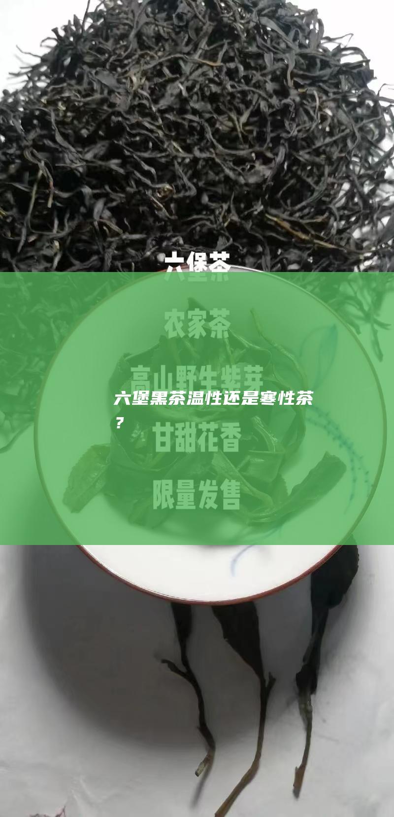 六堡黑茶：温性还是寒性茶？