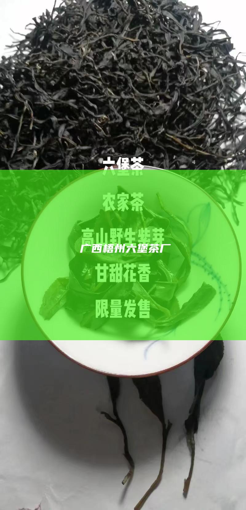 广西梧州六堡茶厂