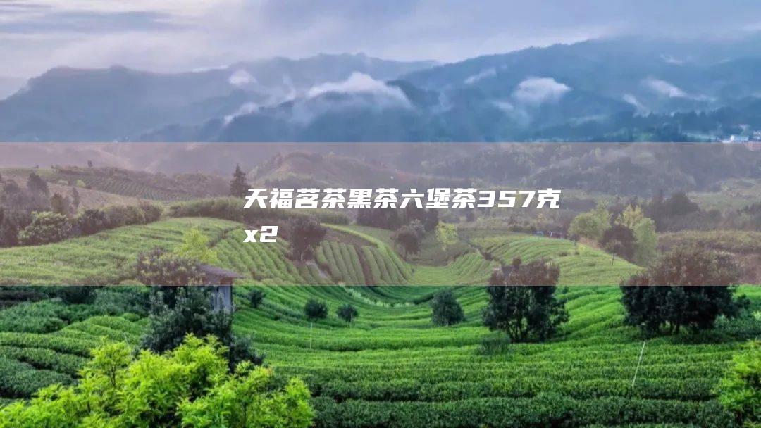 天福茗茶黑茶357克x2