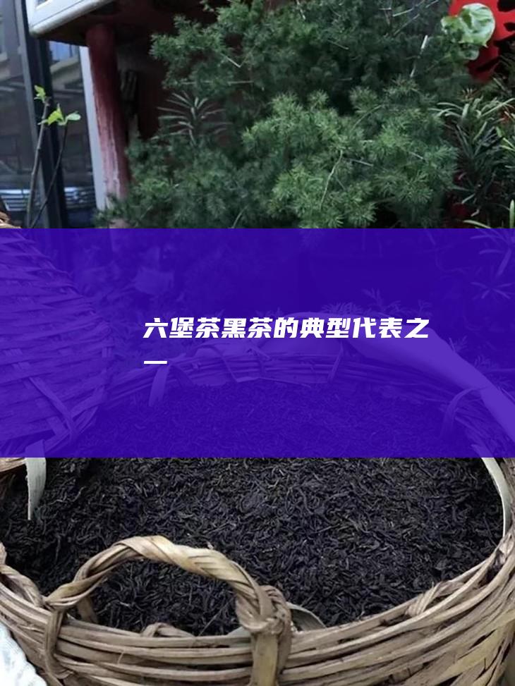 六堡茶：黑茶的典型代表之一