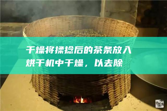 干燥：将揉捻后的茶条放入烘干机中干燥，以去除水分。