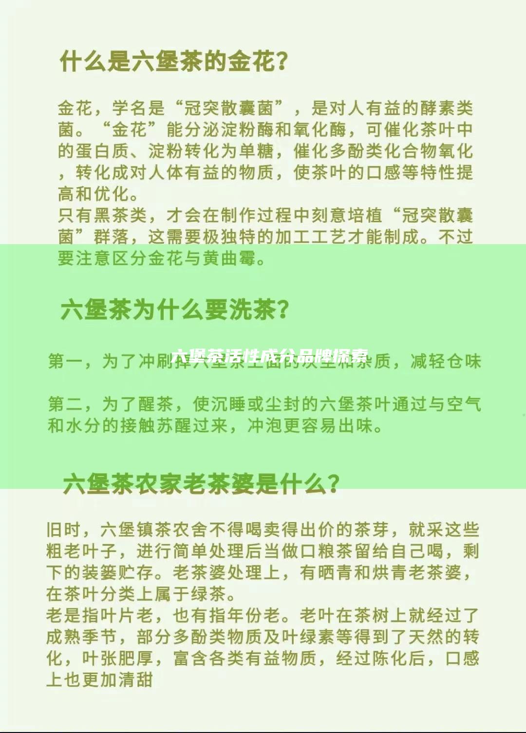 六堡茶活性成分品牌探索