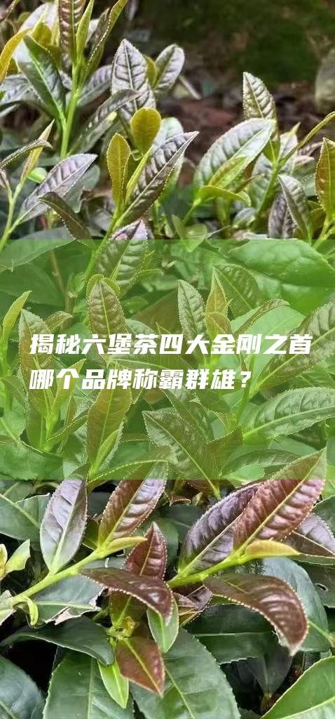 揭秘六堡茶四大金刚之首：哪个品牌称霸群雄？