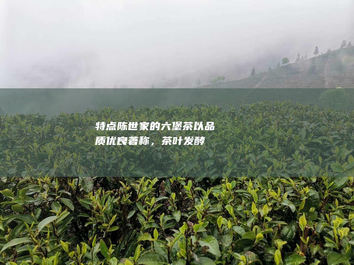 特点：陈世家的六堡茶以品质优良著称，茶叶发酵程度适中，口感醇厚甘爽。