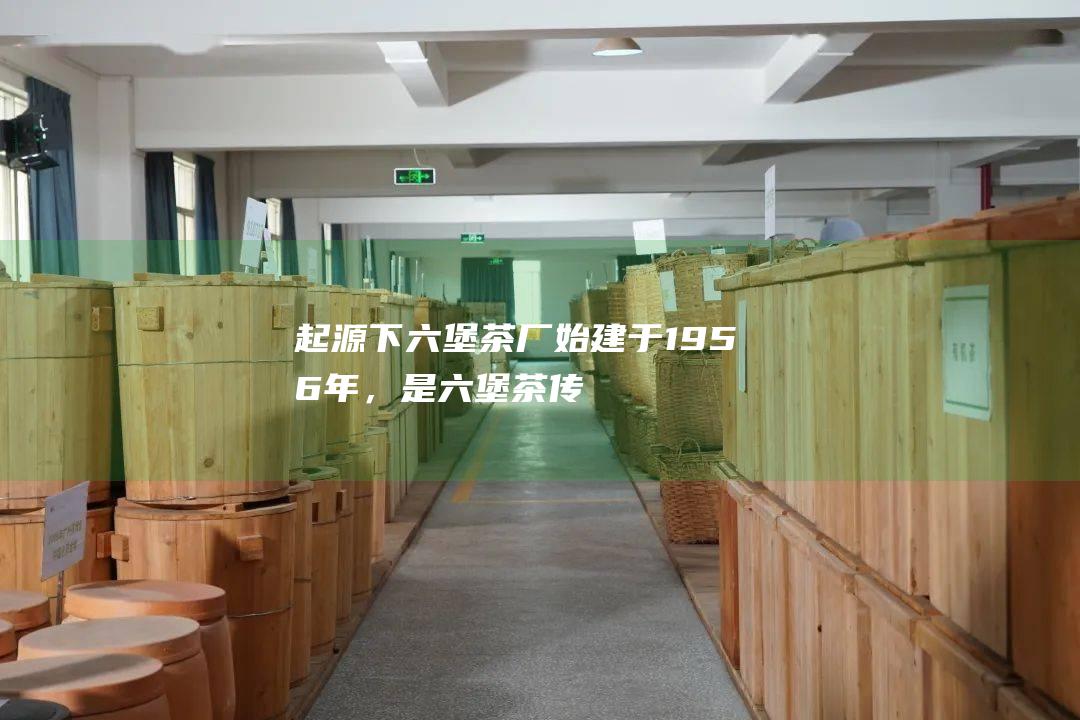 起源：下六堡茶厂始建于1956年，是六堡茶传统的国家级重点企业。