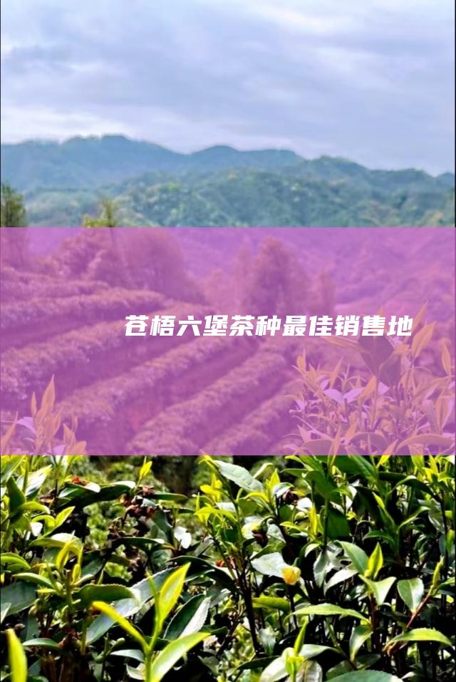 苍梧六堡茶种最佳销售地