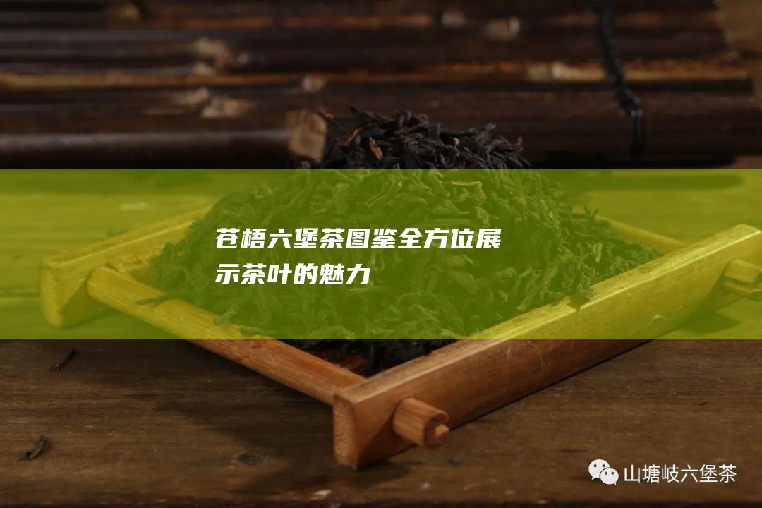 苍梧六堡茶图鉴：全方位展示茶叶的魅力