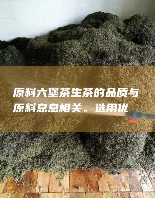 原料：六堡茶生茶的品质与原料息息相关。选用优质茶叶制作的六堡茶生茶口感更佳。