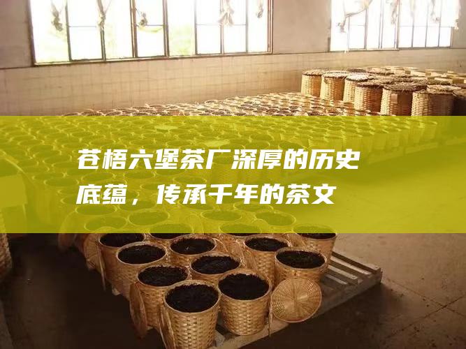 苍梧六堡茶厂：深厚的历史底蕴，传承千年的茶文化