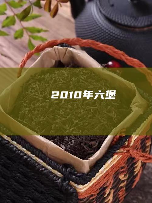 2010年六堡