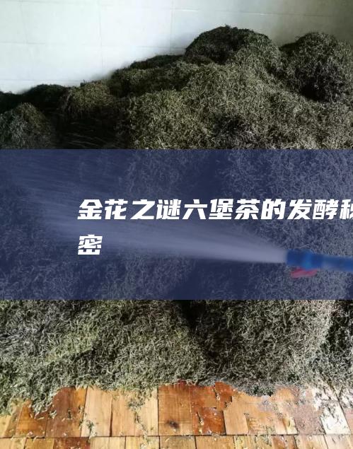 金花之谜茶的秘密