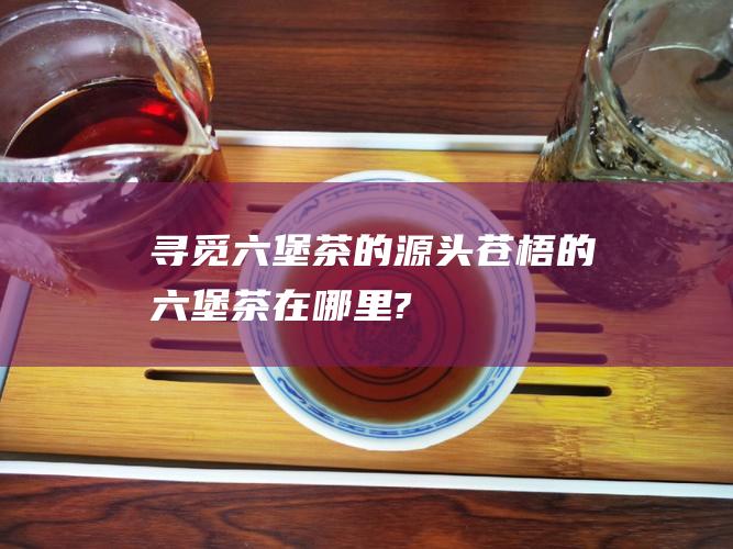 寻觅六堡茶的源头：苍梧的六堡茶在哪里?