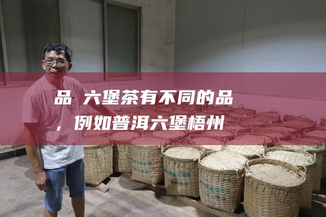 品種：六堡茶有不同的品種，例如普洱六堡、梧州六堡和六堡散茶。