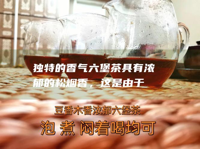 独特的香气：六堡茶具有浓郁的松烟香，这是由于在渥堆发酵过程中产生的微生物作用所致。这种香气沁人心脾，令人回味无穷。