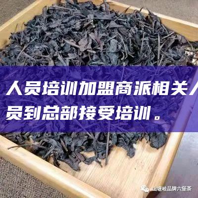 人员培训：加盟商派相关人员到总部接受培训。