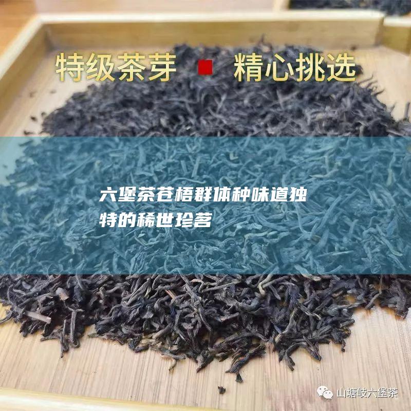 六堡茶苍梧群体种：味道独特的稀世珍茗