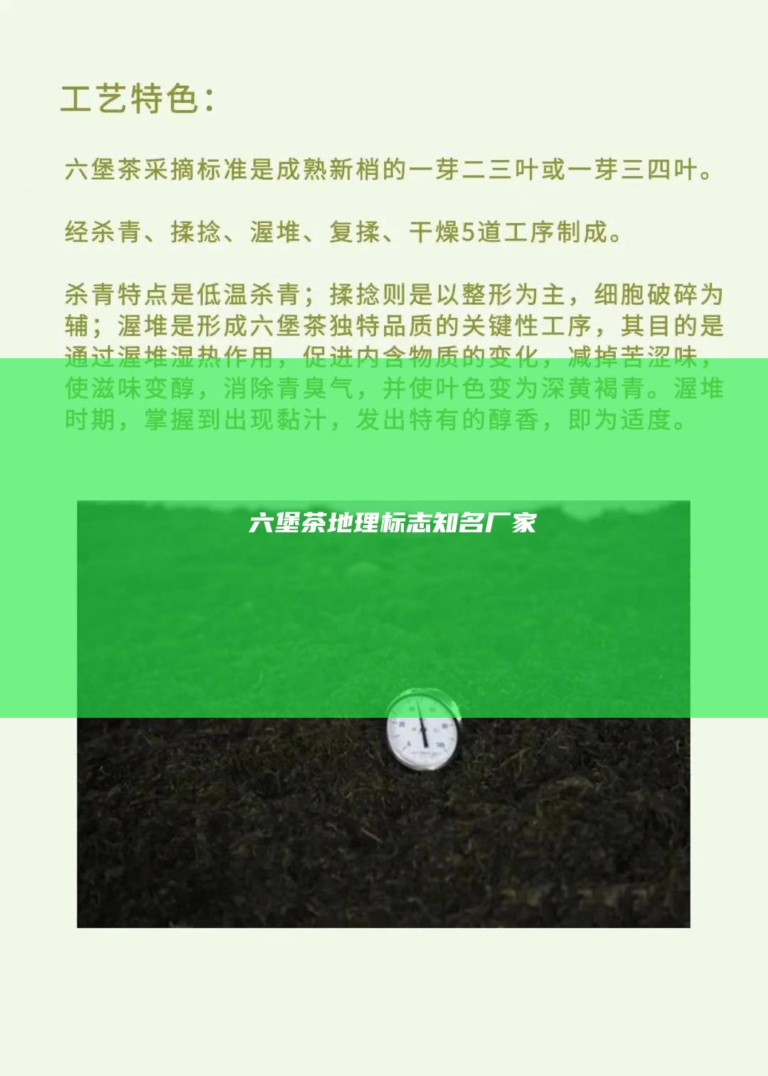 六堡茶地理标志知名厂家