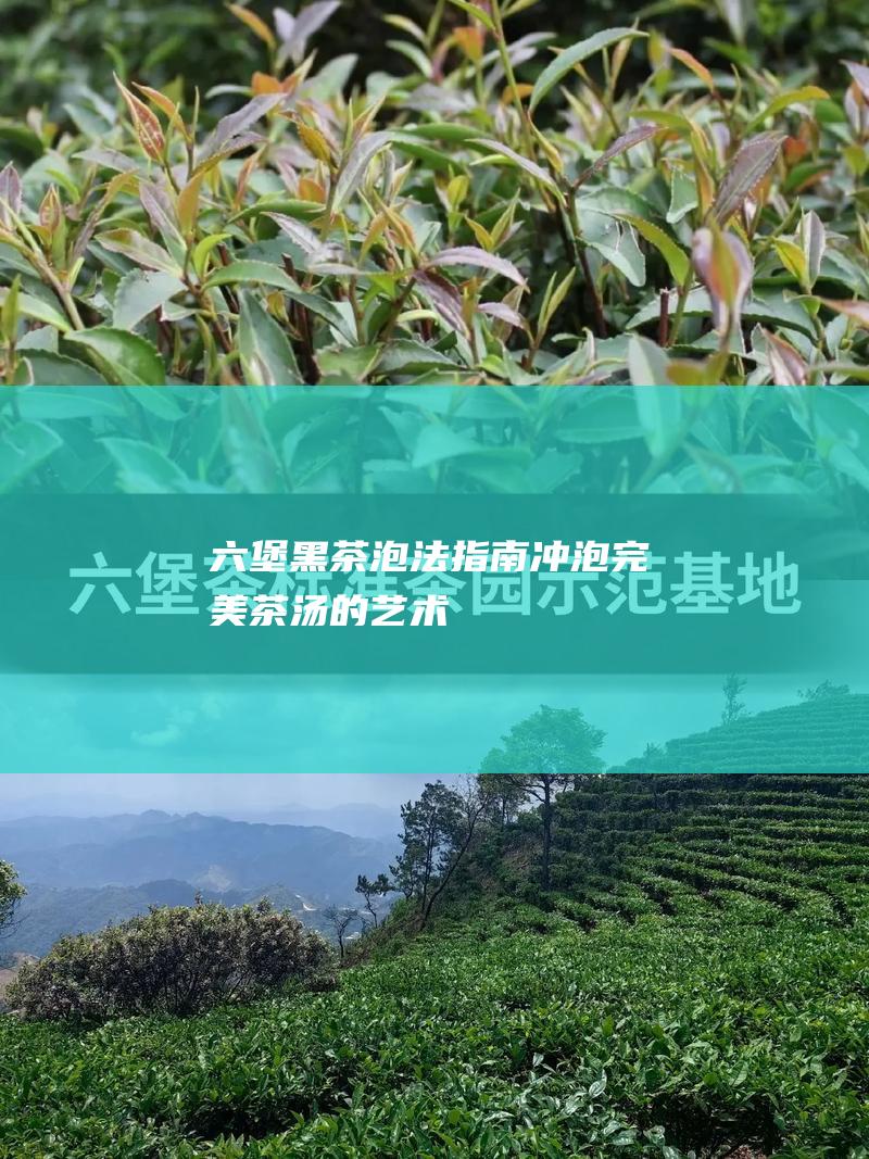 六堡黑茶泡法指南：冲泡完美茶汤的艺术