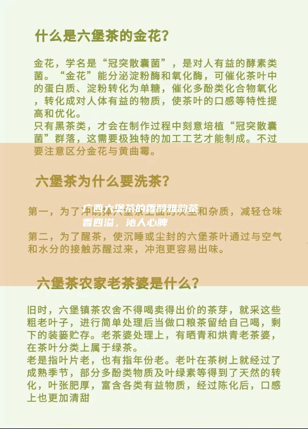 广西茶的香醇雅韵茶香四溢，沁人心脾