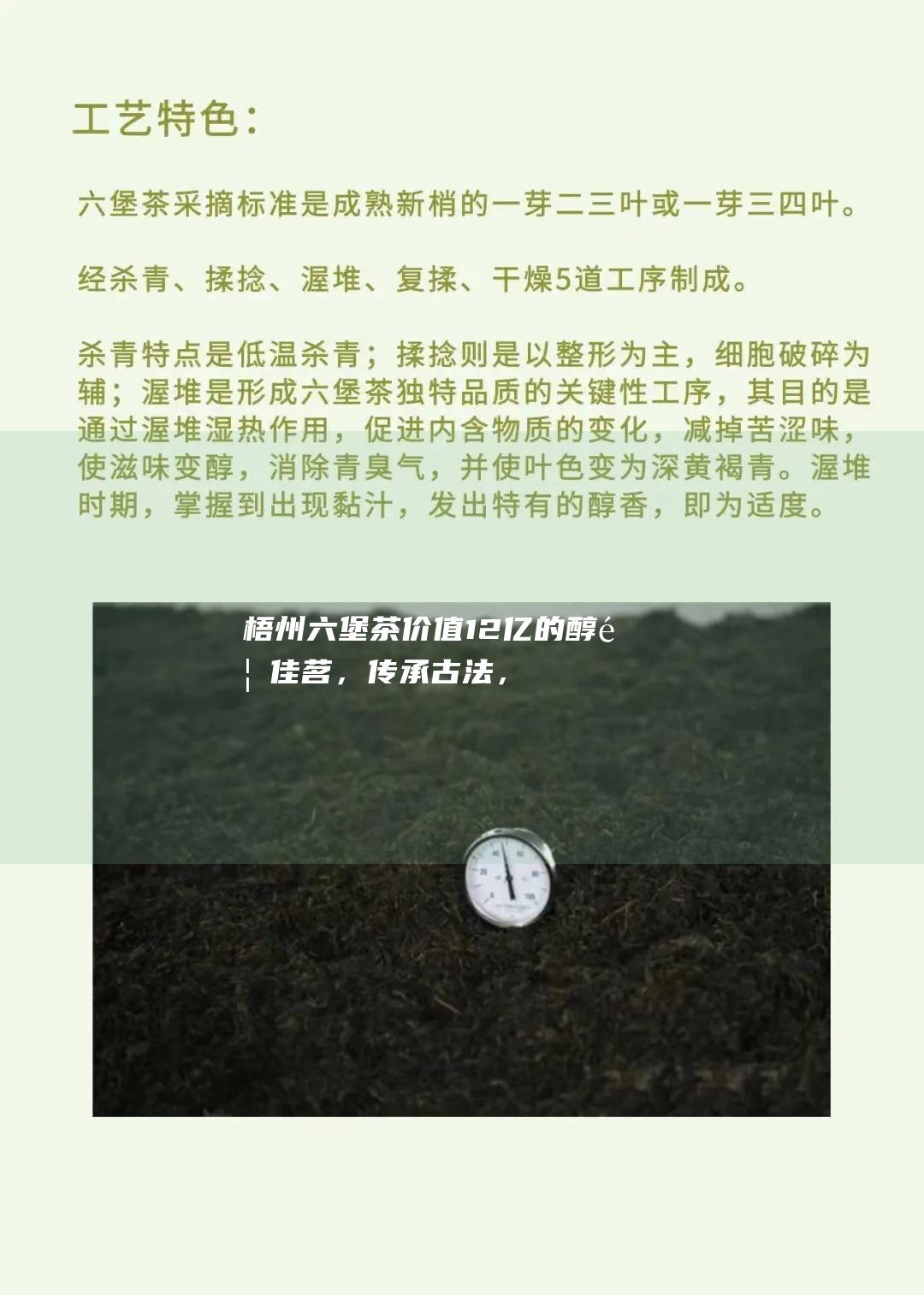 梧州六堡茶：价值12亿的醇香佳茗，传承古法，誉满全球