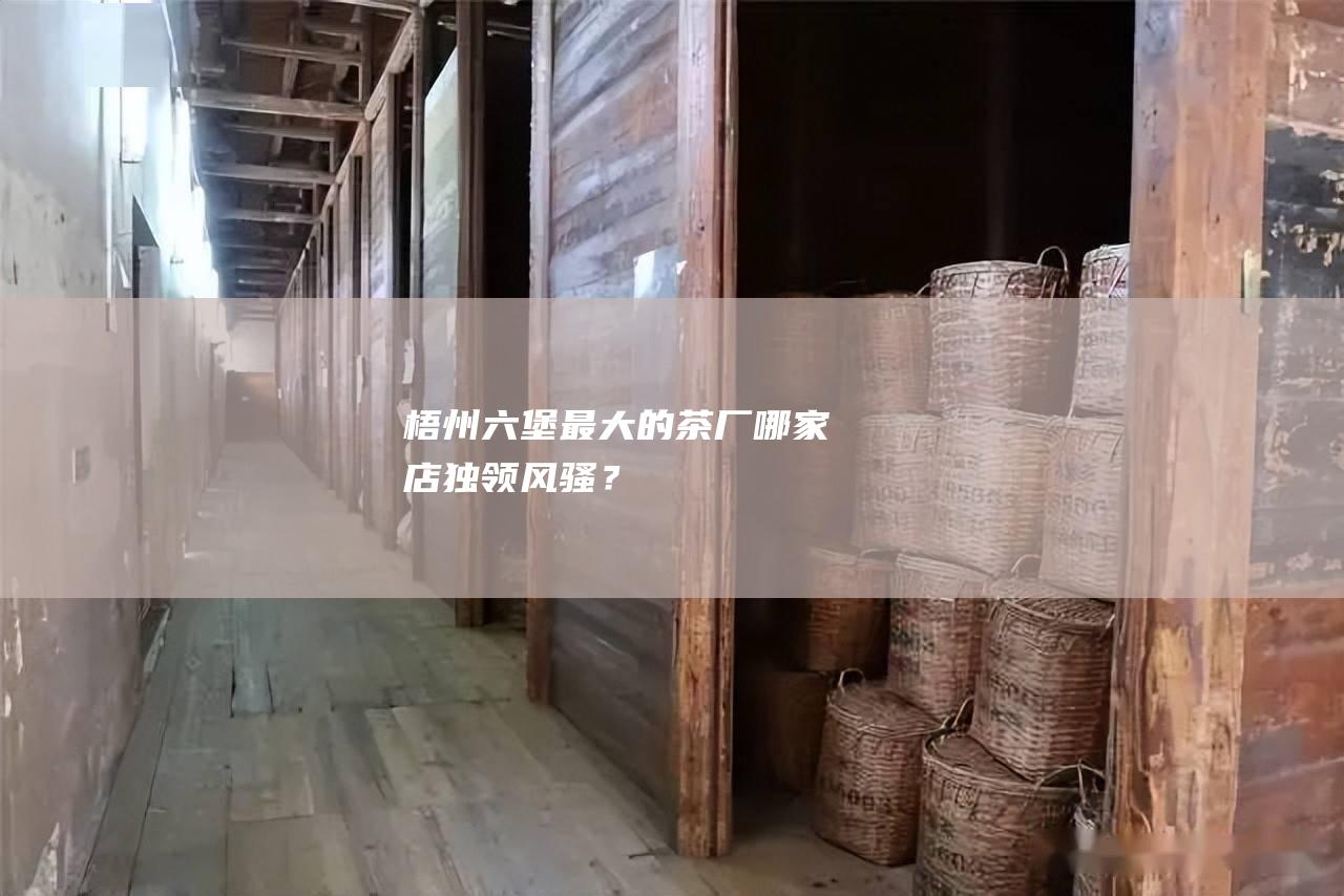 梧州六堡最大的茶厂：哪家店独领风骚？