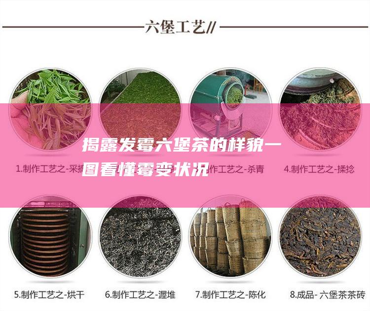 揭露发霉六堡茶的样貌：一图看懂霉变状况