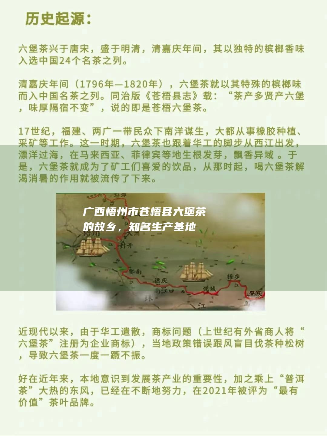 广西梧州市苍梧县：六堡茶的故乡，知名生产基地