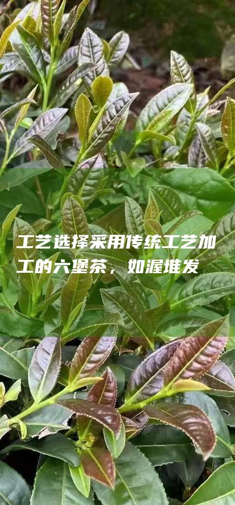 工艺：选择采用传统工艺加工的六堡茶，如渥堆发酵工艺，以保证茶叶的醇厚口感和陈化潜力。