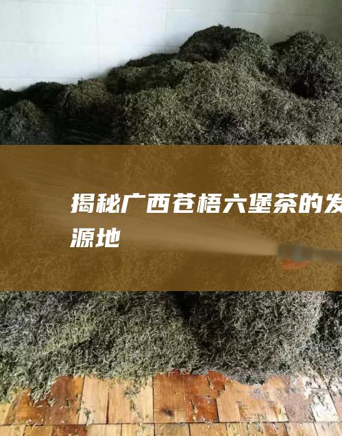 揭秘广西苍梧六堡茶的发源地