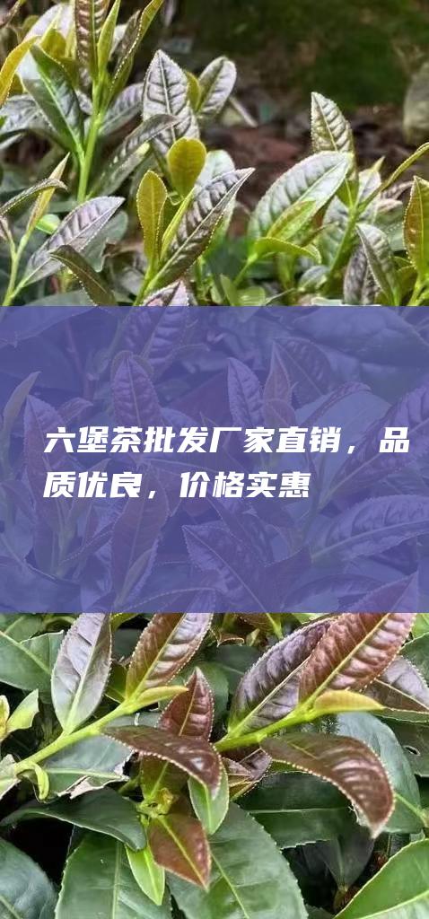 六堡茶批发厂家直销，品质优良，价格实惠