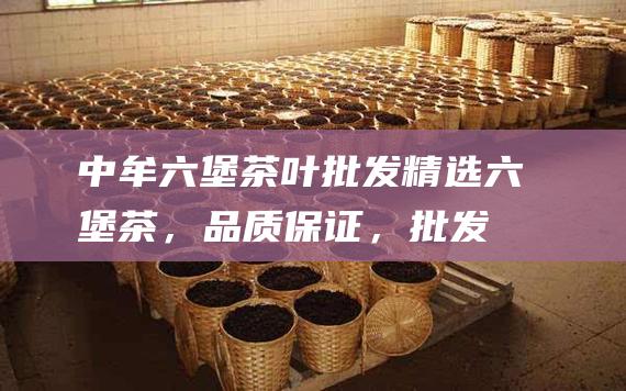 中牟六堡茶叶批发：精选六堡茶，品质保证，批发价超值