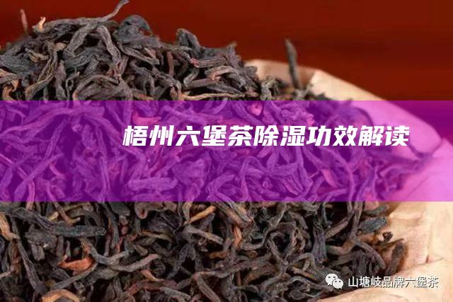 梧州六堡茶除湿功效解读