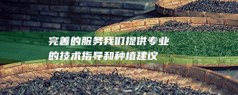 完善的服务：我们提供专业的技术指导和种植建议，帮助客户成功种植六堡茶树苗，实现丰收。