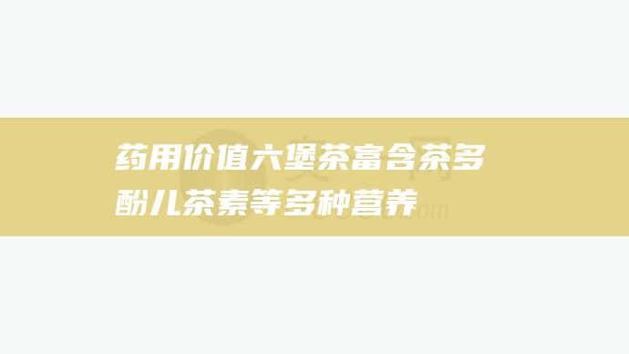 药用价值：六堡茶富含茶多酚、儿茶素等多种营养成分，具有抗氧化、降血脂、降血糖等药用价值。