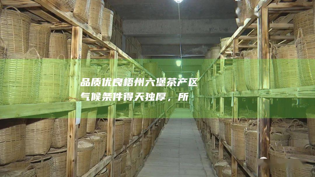 品质优良：梧州六堡茶产区气候条件得天独厚，所产茶叶品质优良，深受消费者的认可。