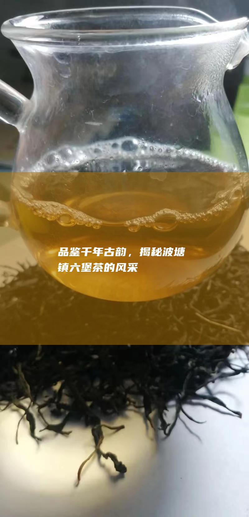 品鉴千年古韵，揭秘波塘镇六堡茶的风采