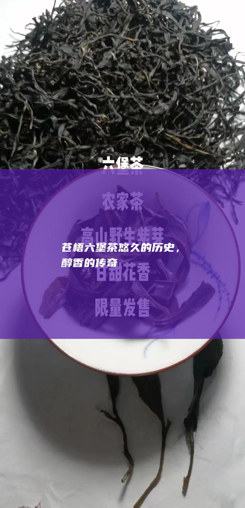 苍梧六堡茶：悠久的历史，醇香的传奇