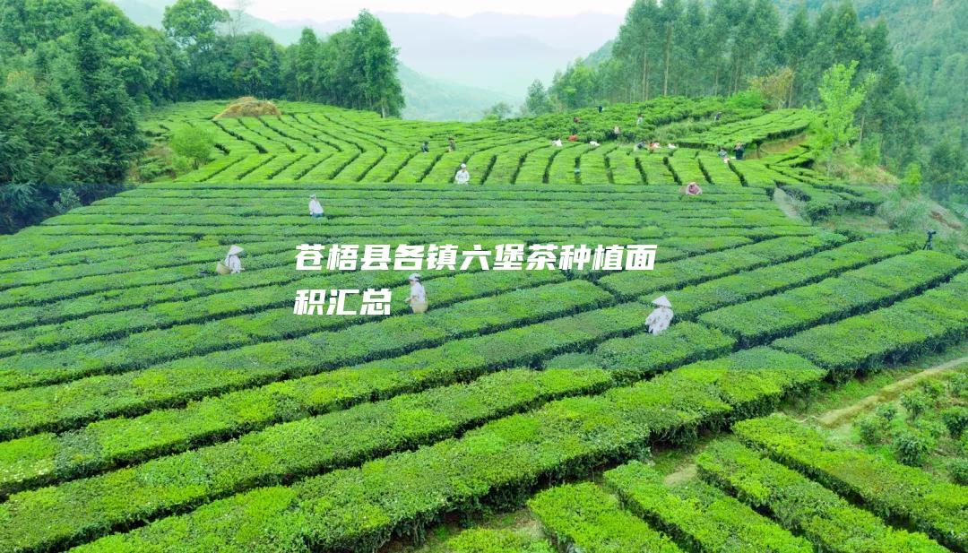 苍梧县各镇六堡茶种植面积汇总