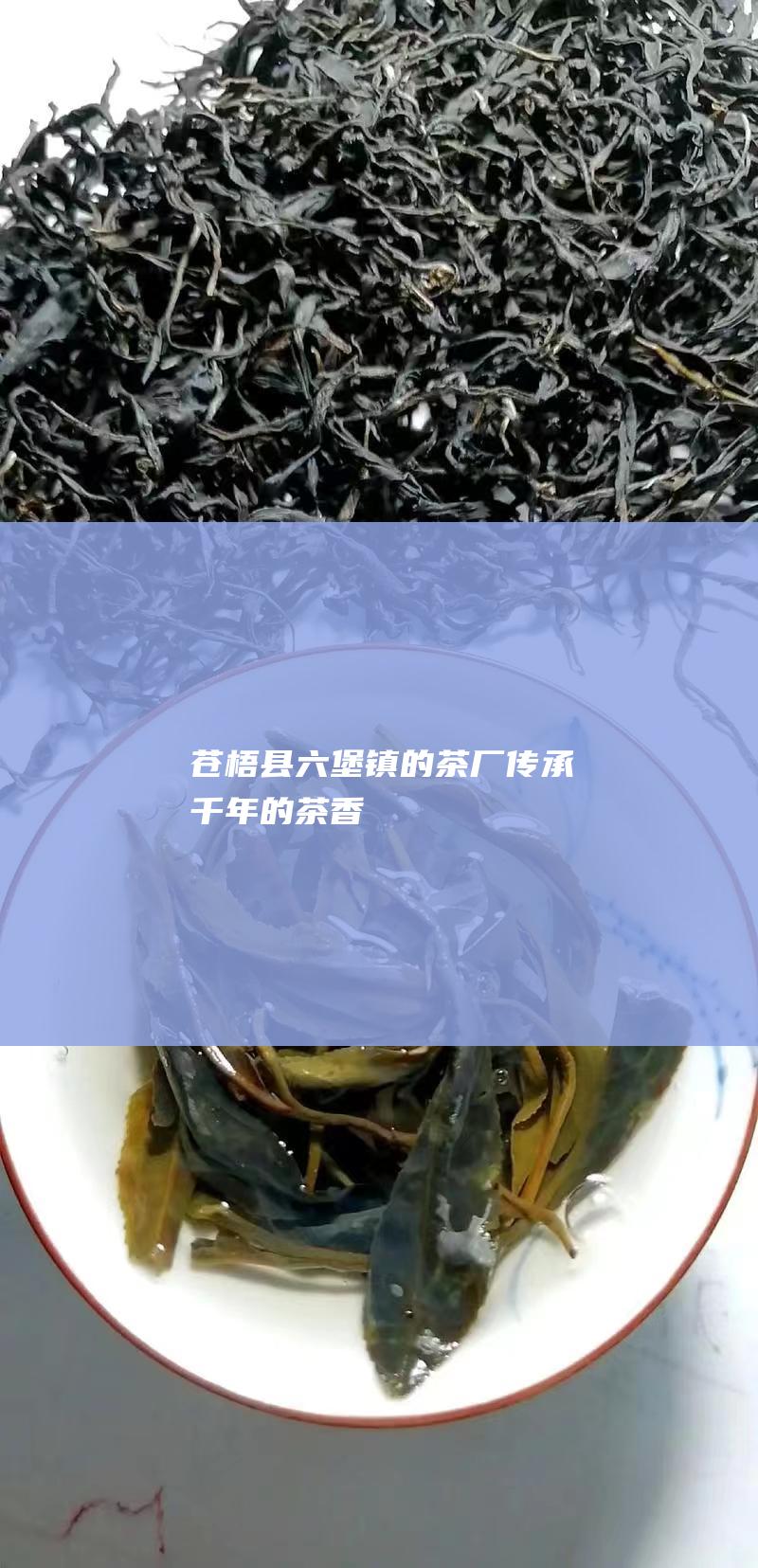 苍梧县六堡镇的茶厂：传承千年的茶香