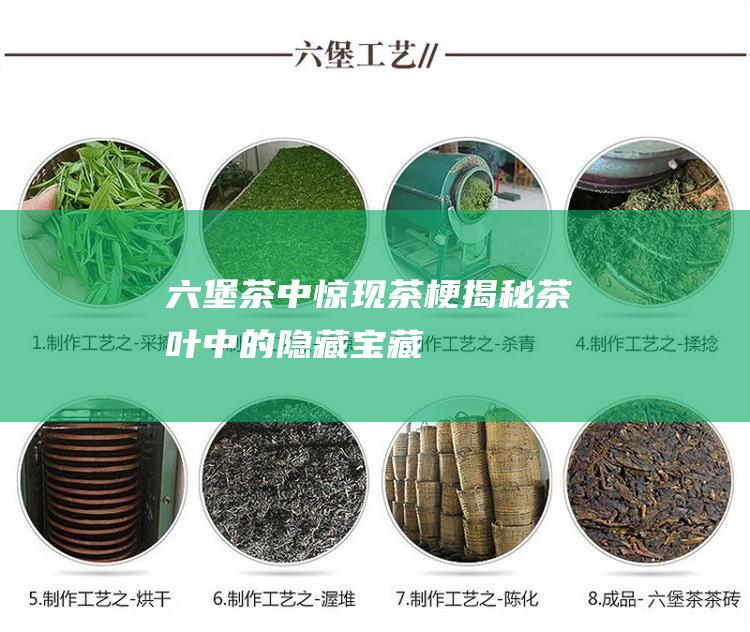 六堡茶中惊现茶梗：揭秘茶叶中的隐藏宝藏