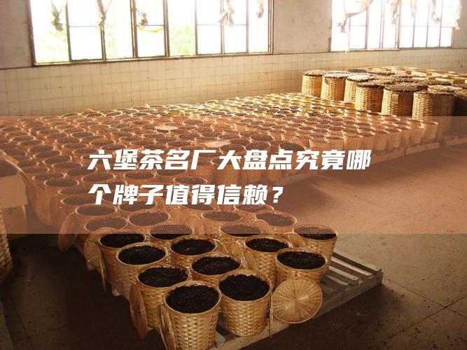 六堡茶名厂大盘点：究竟哪个牌子值得信赖？