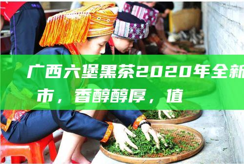 广西六堡黑茶2020年全新上市，香醇醇厚，值得品味