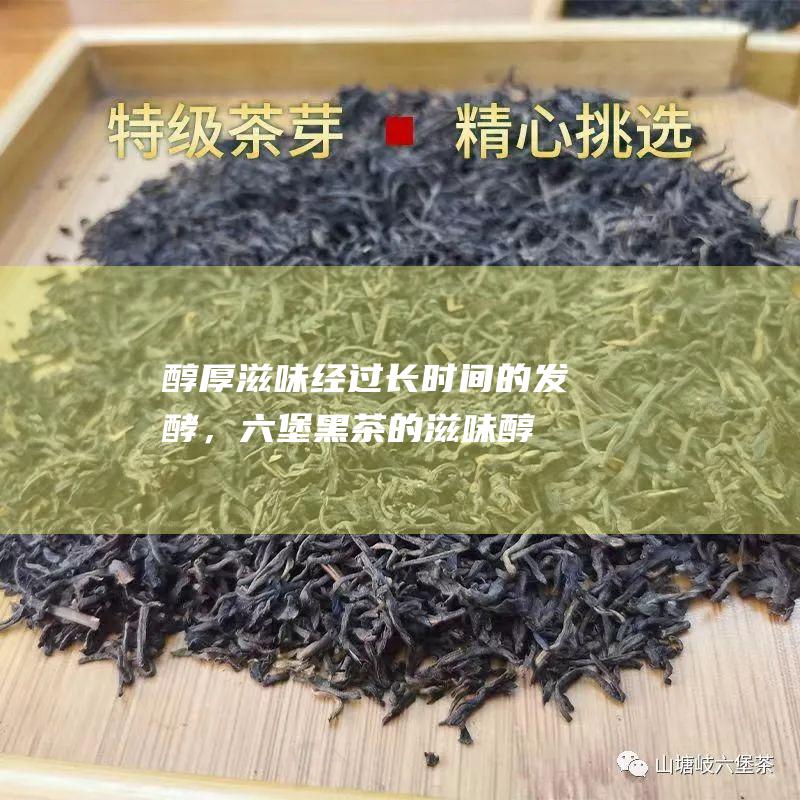 醇厚滋味：经过长时间的发酵，六堡黑茶的滋味醇厚浓郁，回味悠长。